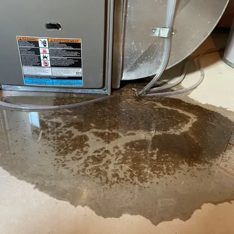 Appliance Leak Cleanup in Willimantic, CT